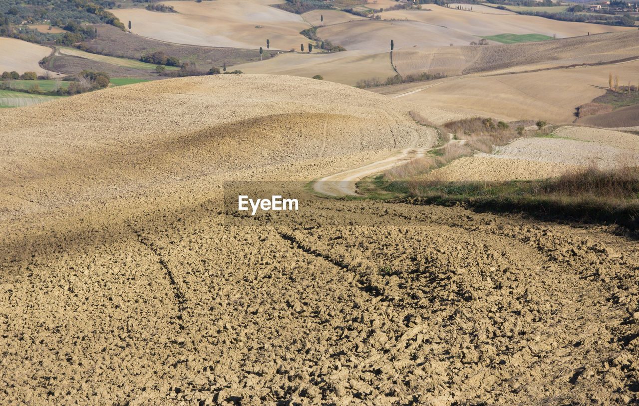 High angle view of agricultural field