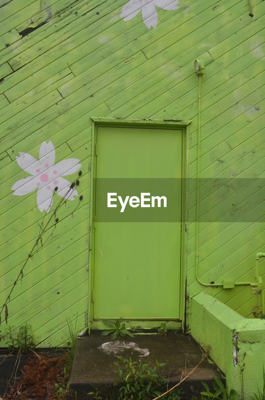 VIEW OF GREEN DOOR WITH BUILDING