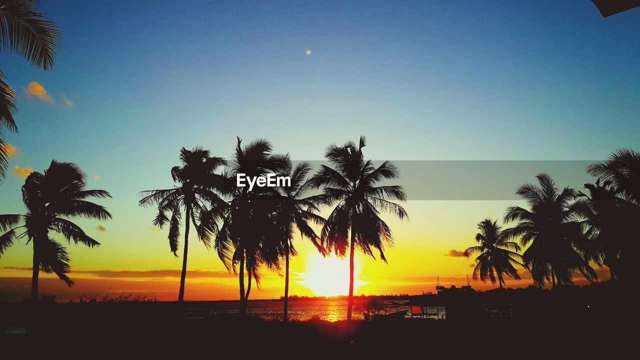 SILHOUETTE PALM TREES AGAINST SKY DURING SUNSET