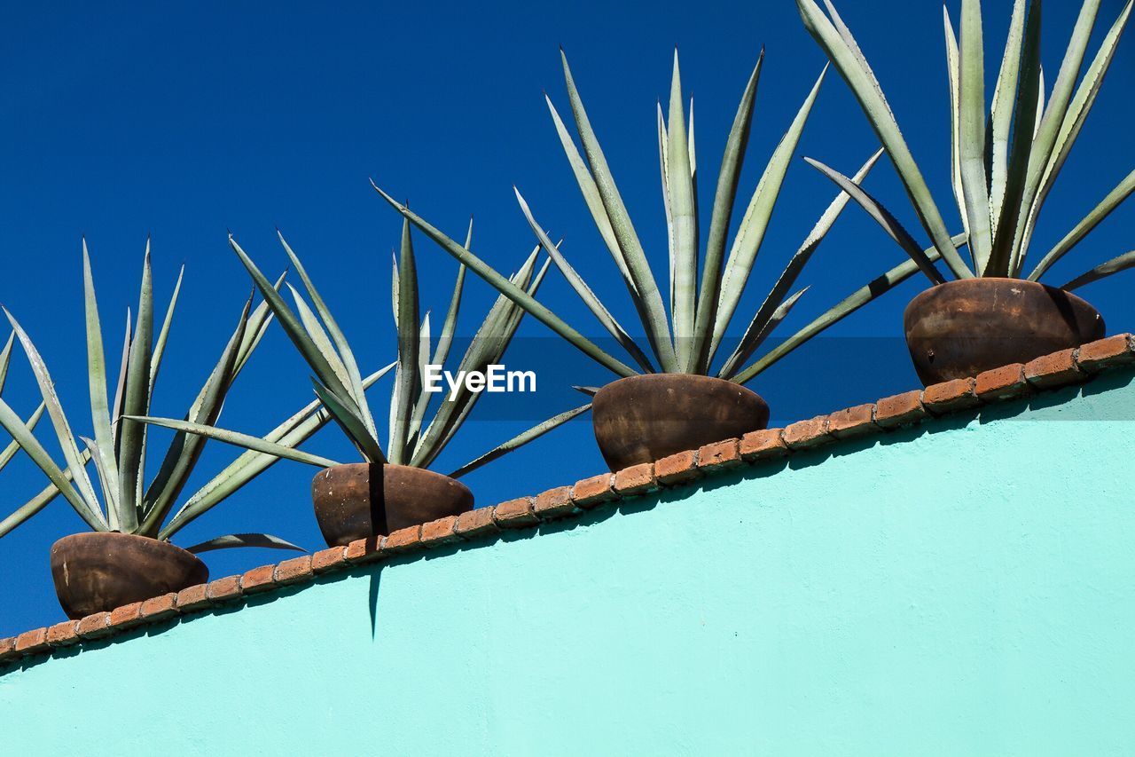 Low angle view of potted plants on railing against sky