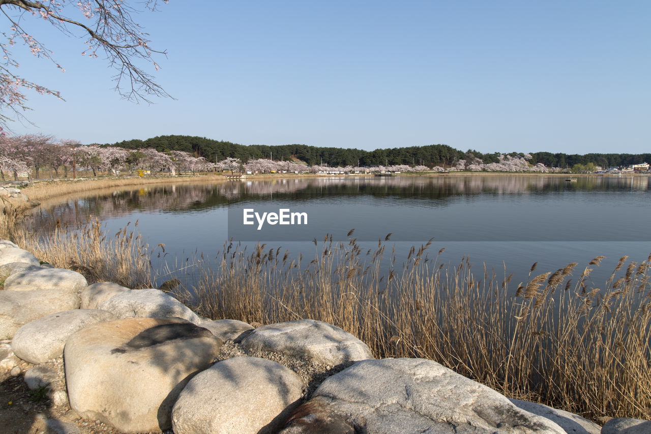 Scenic view of lake against clear sky