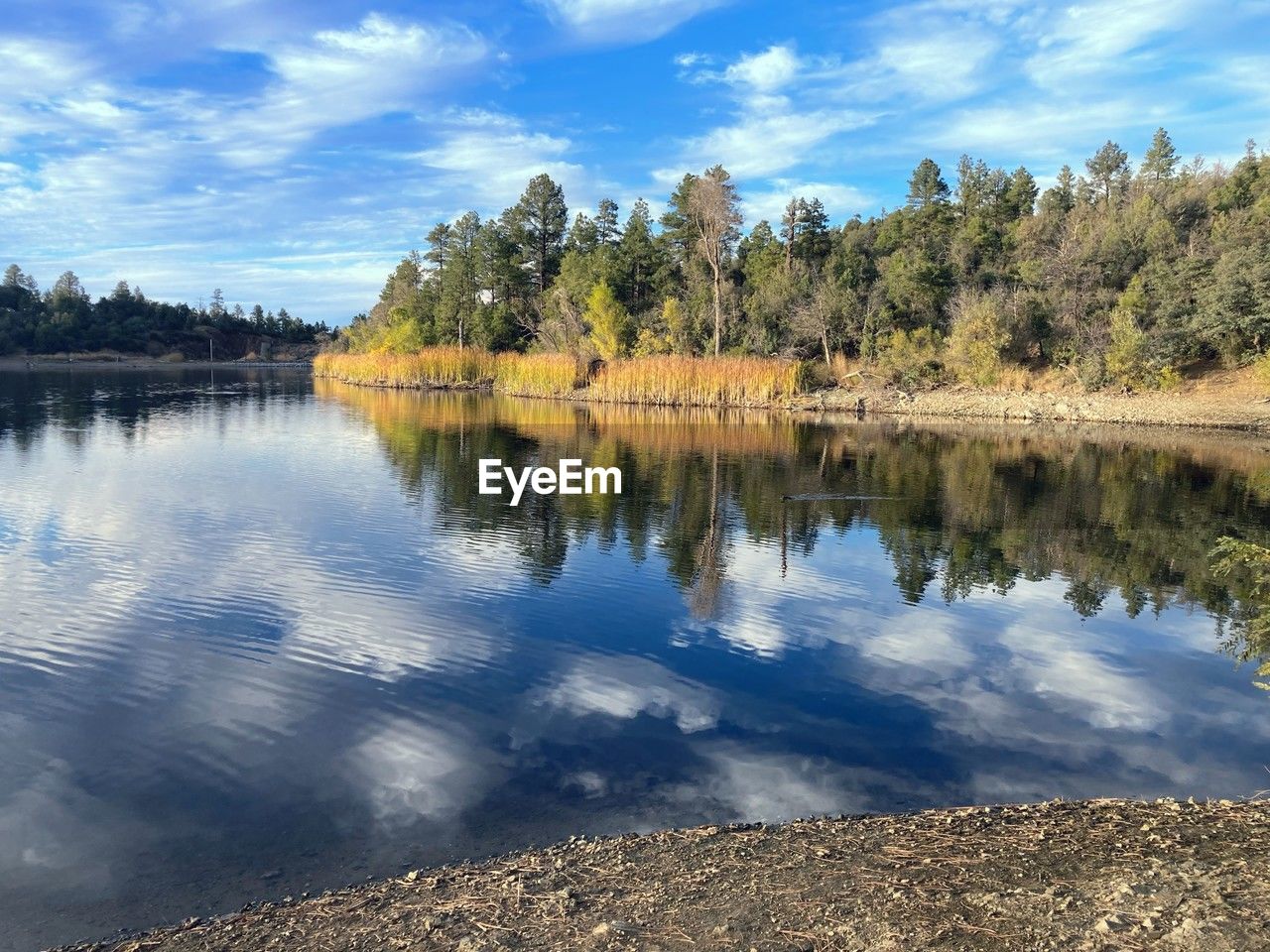 water, reflection, tree, lake, sky, scenics - nature, nature, plant, beauty in nature, wilderness, body of water, tranquility, reservoir, landscape, cloud, tranquil scene, environment, no people, land, forest, autumn, non-urban scene, travel destinations, mountain, shore, pine tree, outdoors, day, coniferous tree, pinaceae, blue, travel, pine woodland, idyllic, tourism, beach, woodland