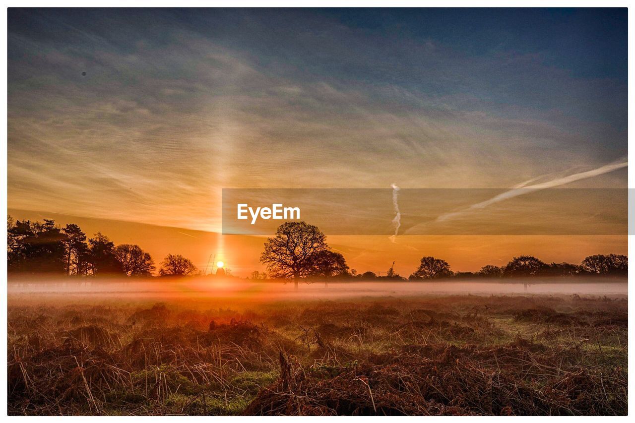 Scenic view of landscape against sky at sunset