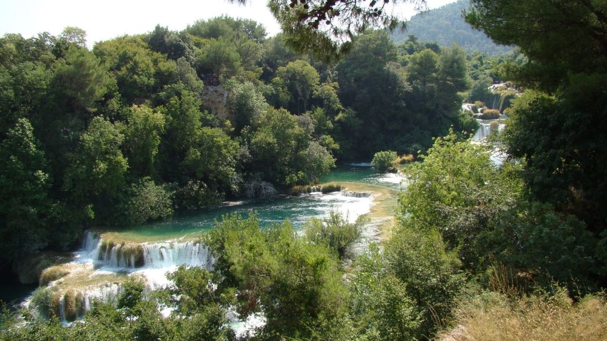 SCENIC VIEW OF RIVER FLOWING THROUGH FOREST