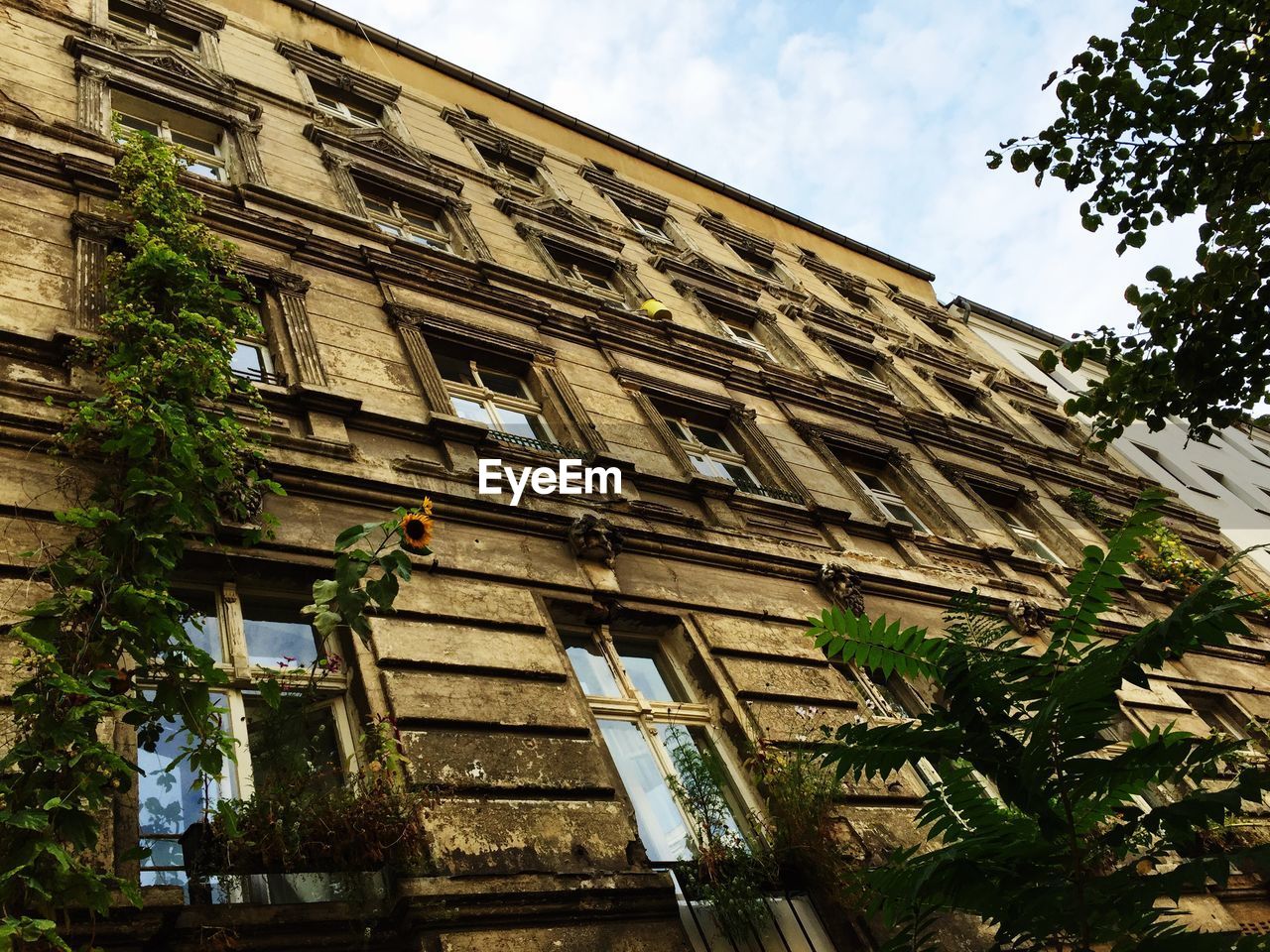 LOW ANGLE VIEW OF BUILDINGS AGAINST SKY