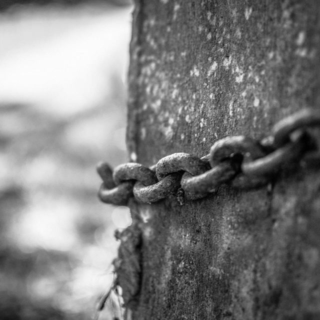 CLOSE-UP OF RUSTY METALLIC CHAIN ON WOOD