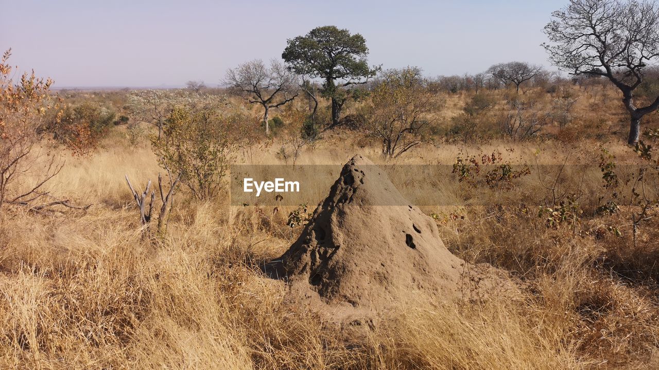 PANORAMIC SHOT OF LAND AGAINST SKY