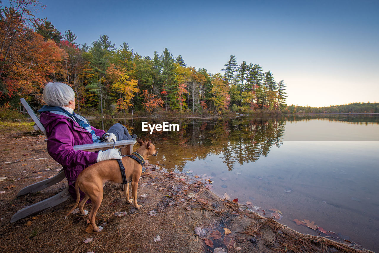 VIEW OF DOG SITTING ON LAKE