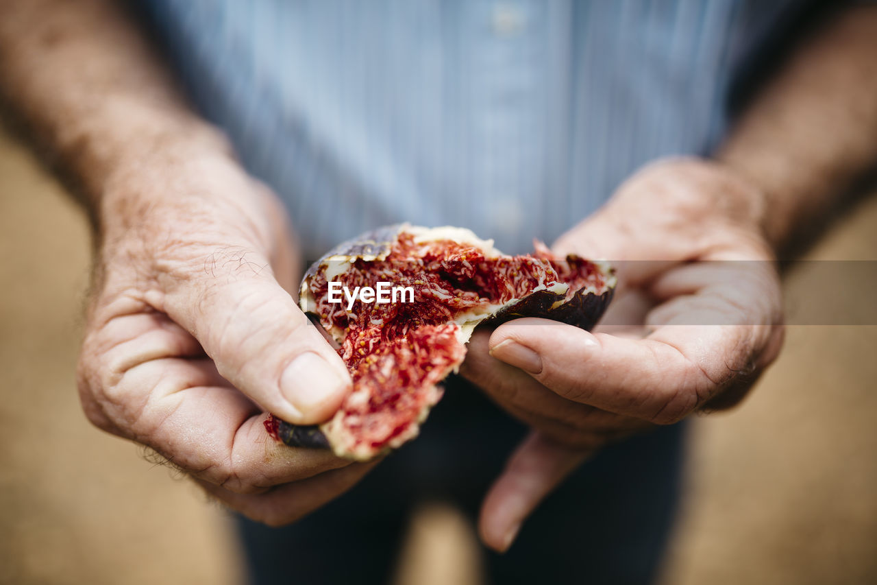 Hands of senior man holding fresh fig