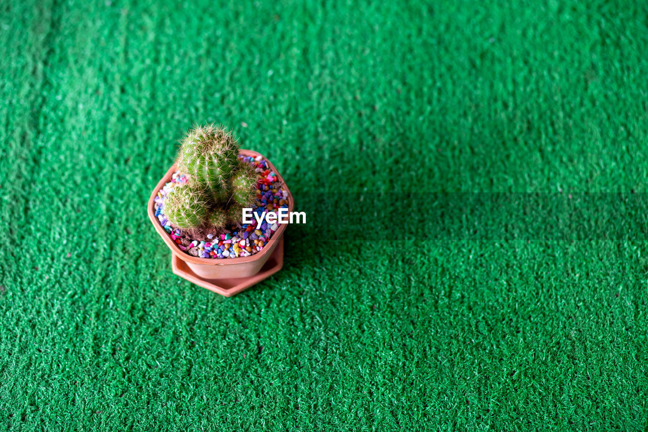 HIGH ANGLE VIEW OF MULTI COLORED BALLS ON GREEN GRASS