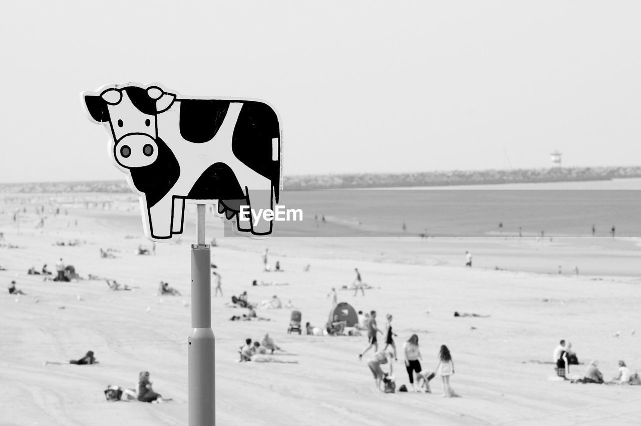 Cow sign on beach