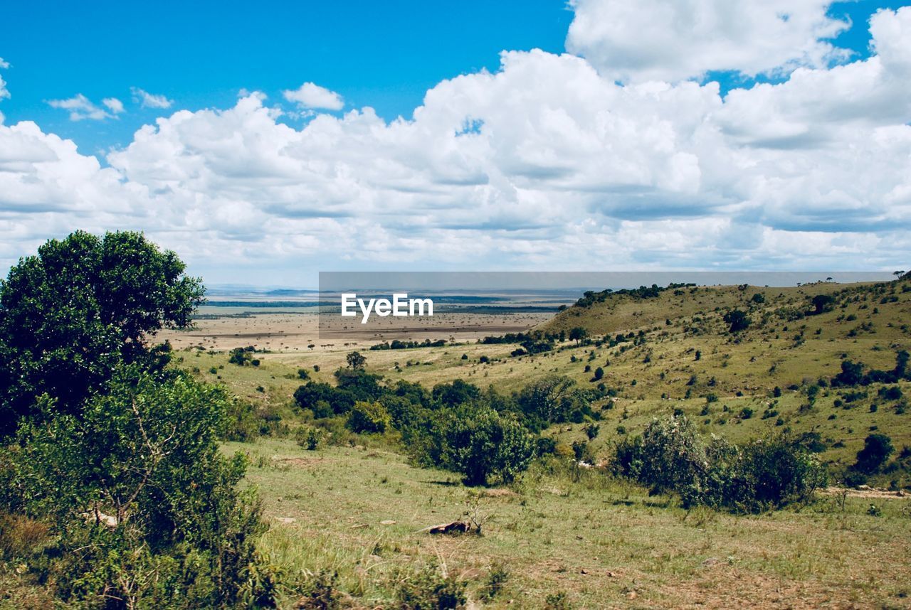 Scenic view of landscape against sky