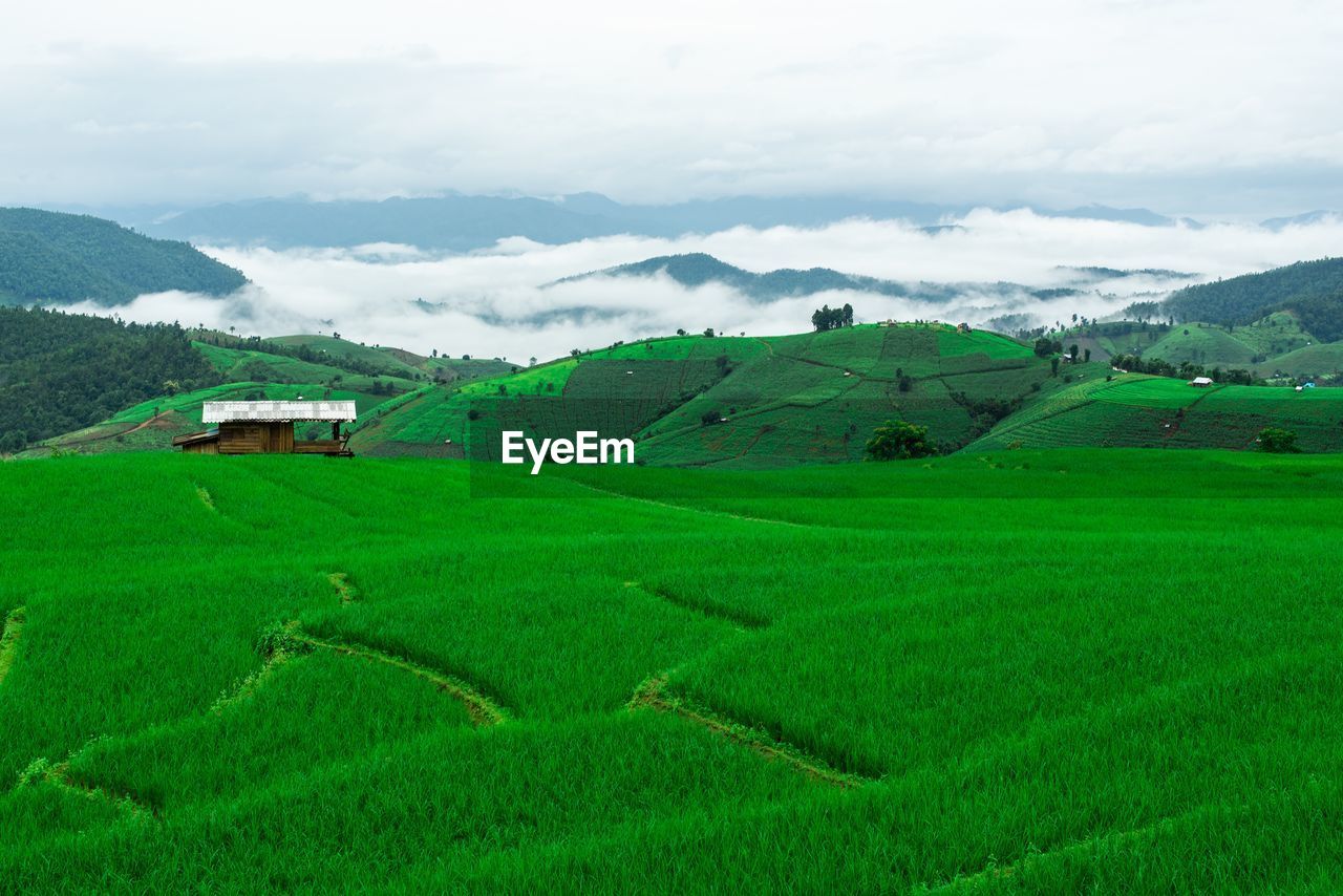 Scenic view of agricultural field on the mountain against sky