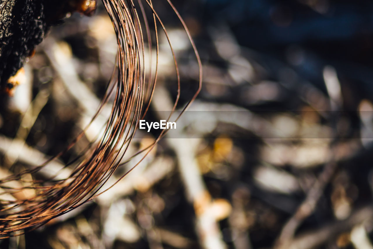 High angle view of rusty metal string