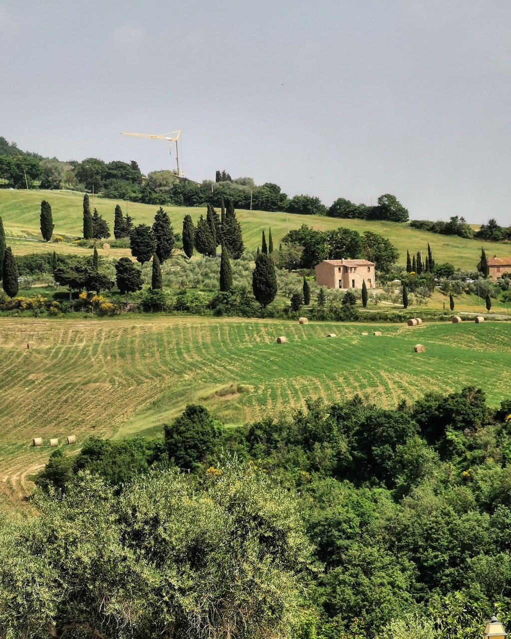 SCENIC VIEW OF FARMS AGAINST SKY