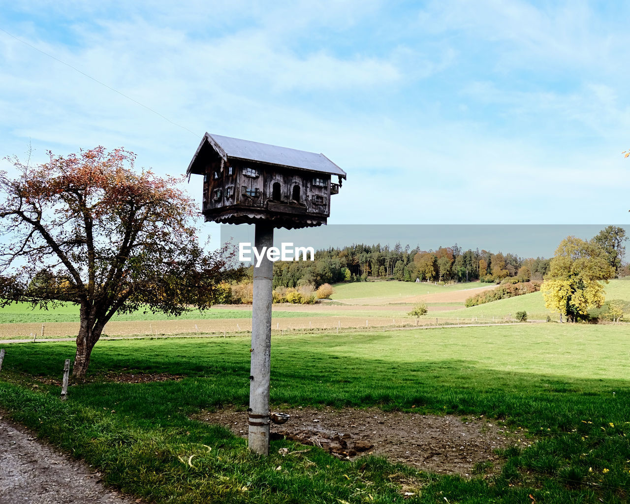 plant, sky, grass, nature, tree, rural area, cloud, no people, landscape, day, field, park, communication, land, tranquility, text, sign, tranquil scene, road, outdoors, environment, green, beauty in nature, scenics - nature, western script, rural scene, non-urban scene, guidance