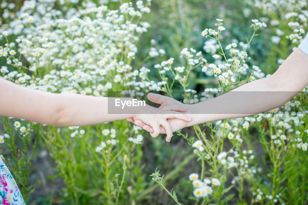 Close-up of couple holding hands against plants