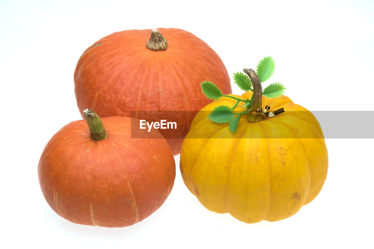 CLOSE-UP OF PUMPKIN AGAINST ORANGE BACKGROUND