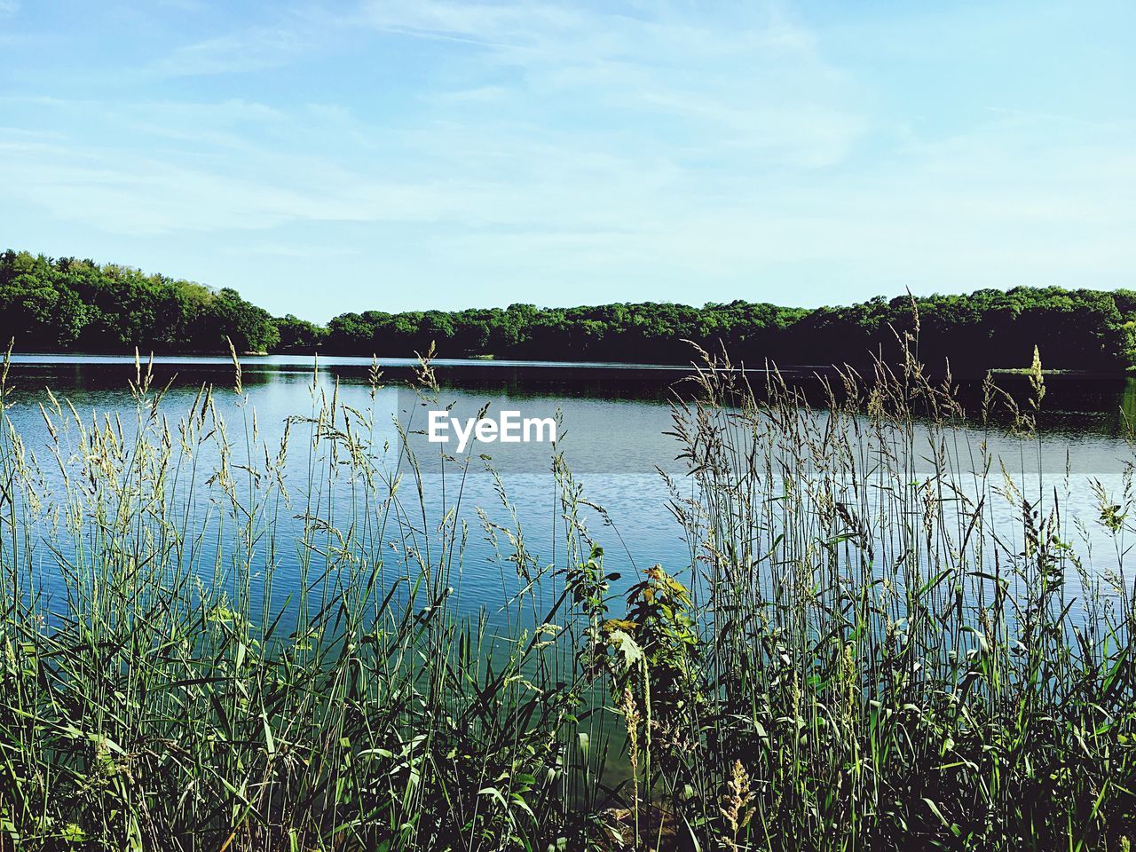 LAKE AGAINST SKY