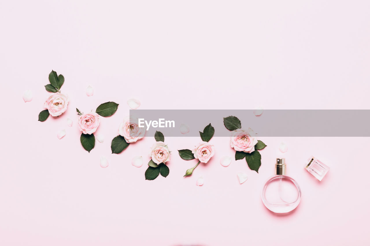 Bottle of perfume and flower arrangement of rosebuds on pink background.