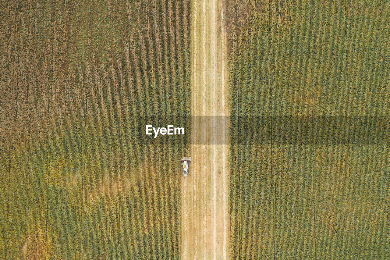 Harvester harvests corn. collect corn cobs with the help of a combine harvester. 