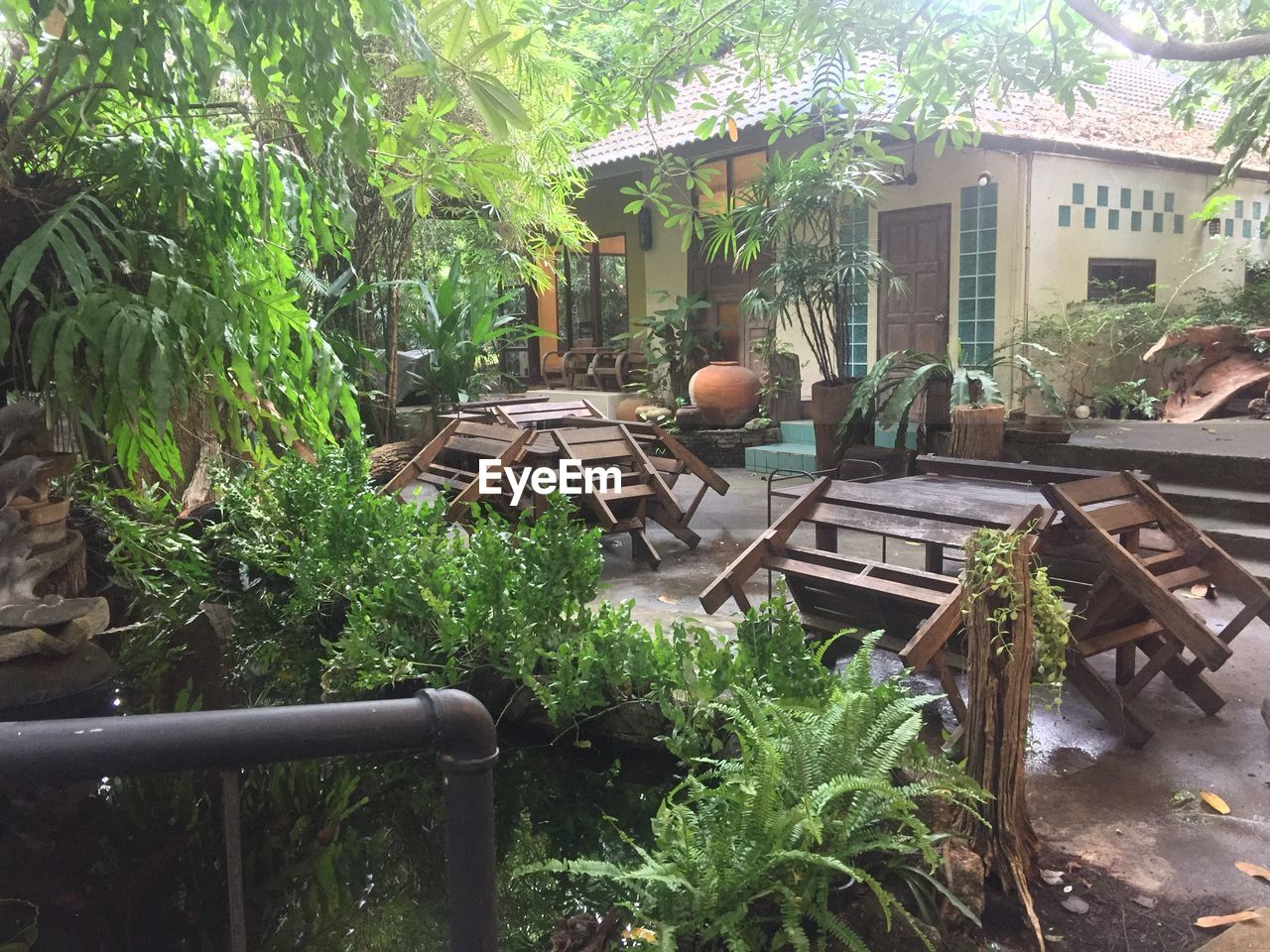 TREES AND PLANTS IN GARDEN