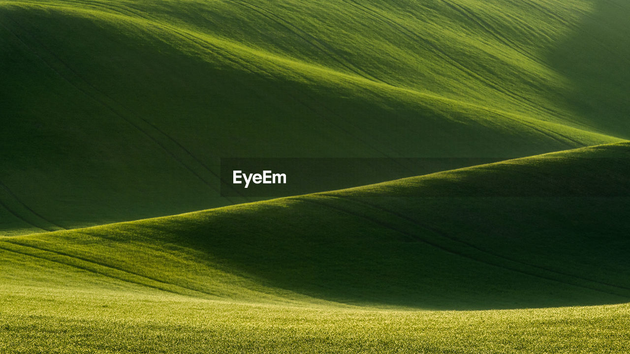 Full frame shot of green landscape