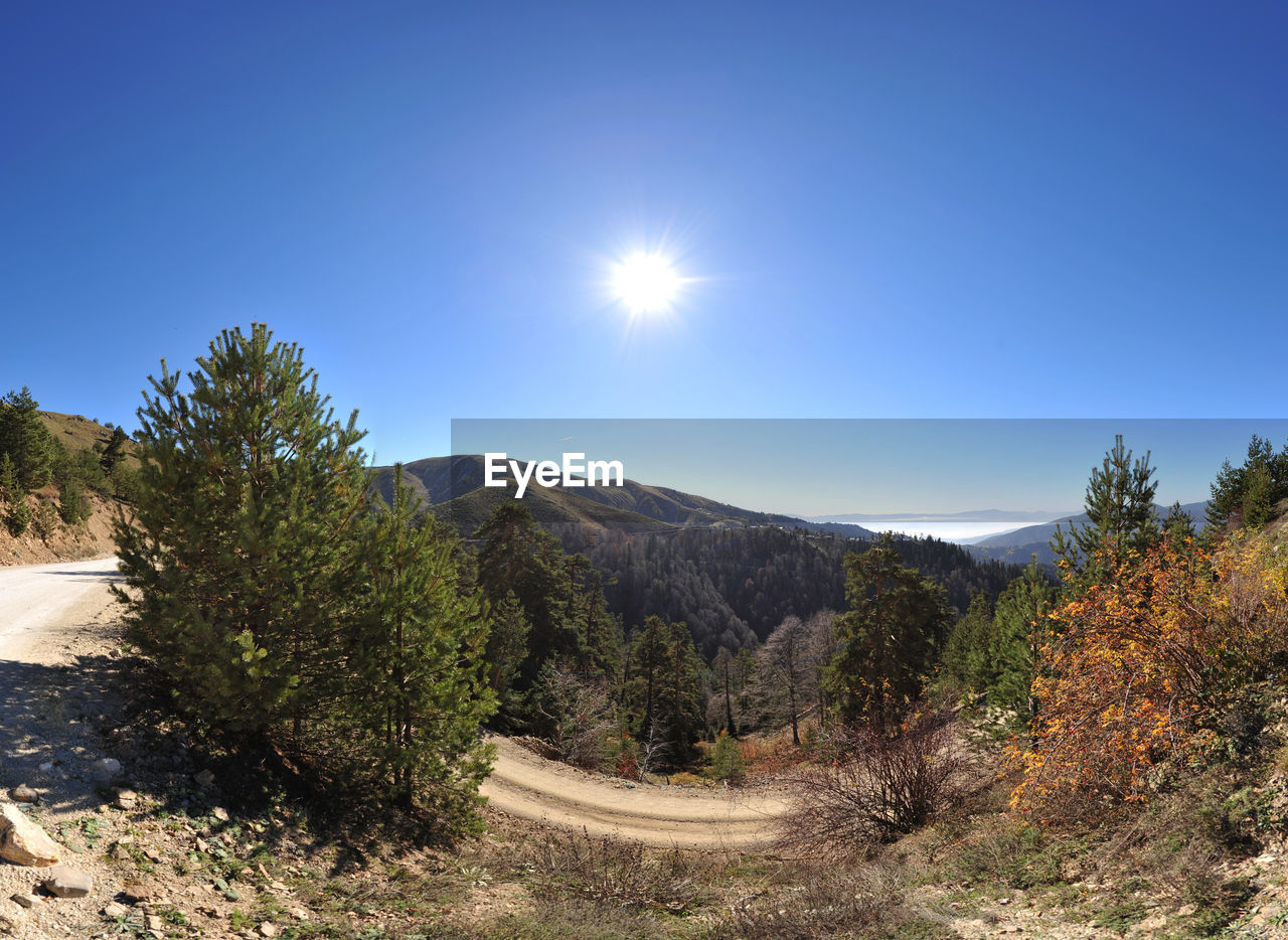 Scenic view of landscape against sky on sunny day