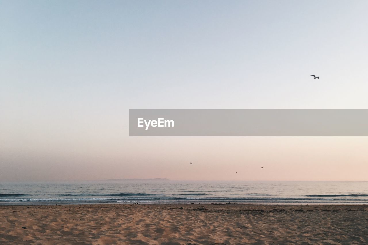 BIRDS FLYING OVER SEA AGAINST SKY