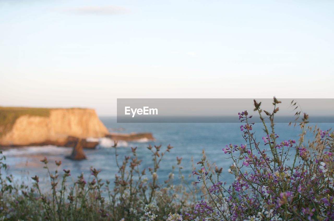 Scenic view of sea against clear sky