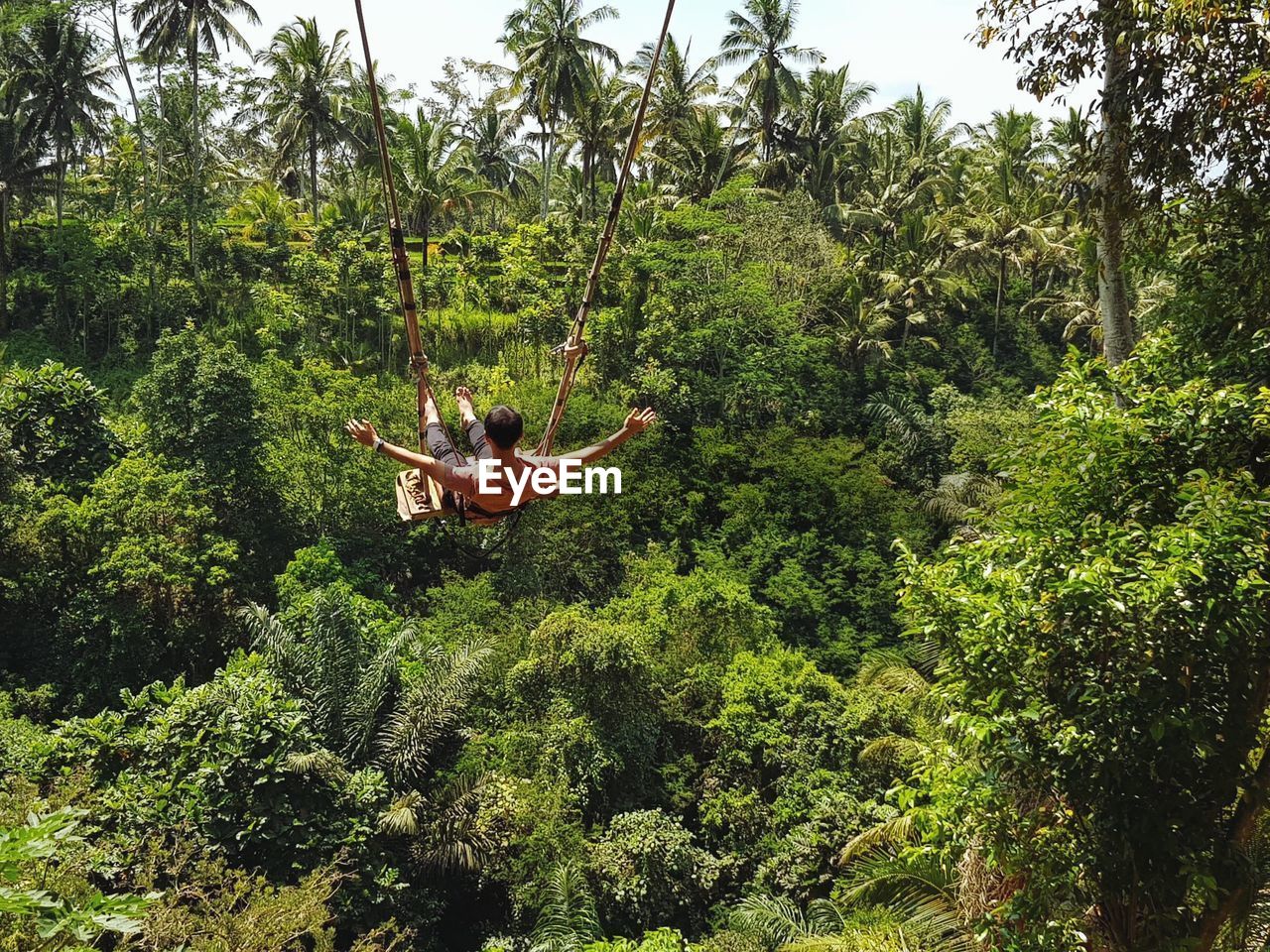 Rear view of man sitting on swing over trees in forest