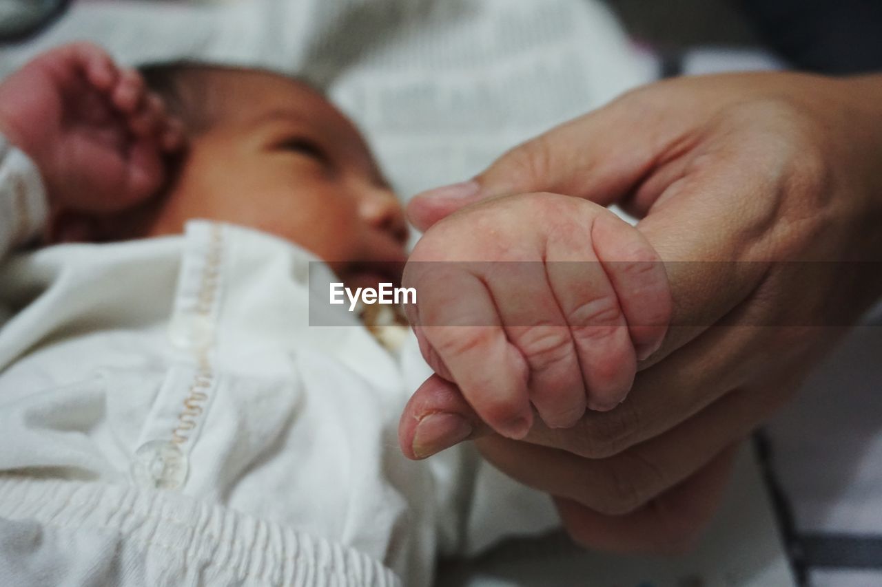 Cropped image of person holding baby boy hand