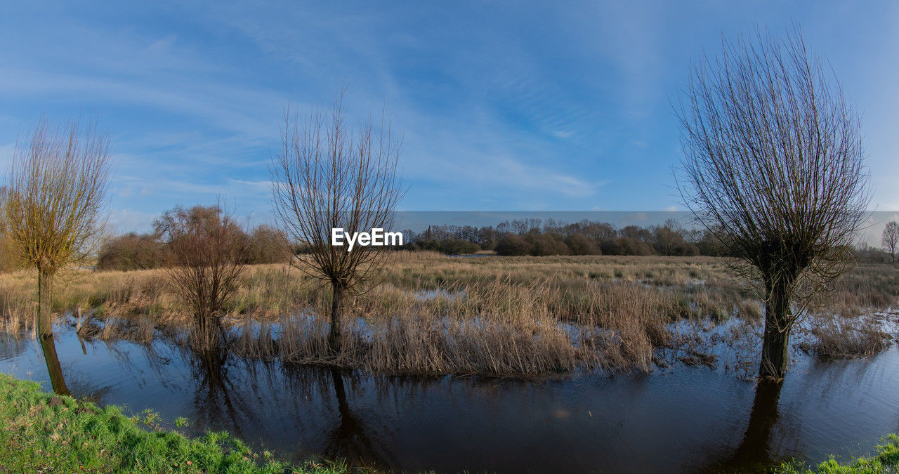 water, reflection, plant, nature, sky, tree, lake, landscape, grass, environment, wilderness, scenics - nature, wetland, beauty in nature, no people, marsh, natural environment, tranquility, cloud, autumn, tranquil scene, rural area, blue, land, non-urban scene, winter, bare tree, outdoors, reed, day, morning, reservoir, travel destinations, bog, swamp, remote, tourism