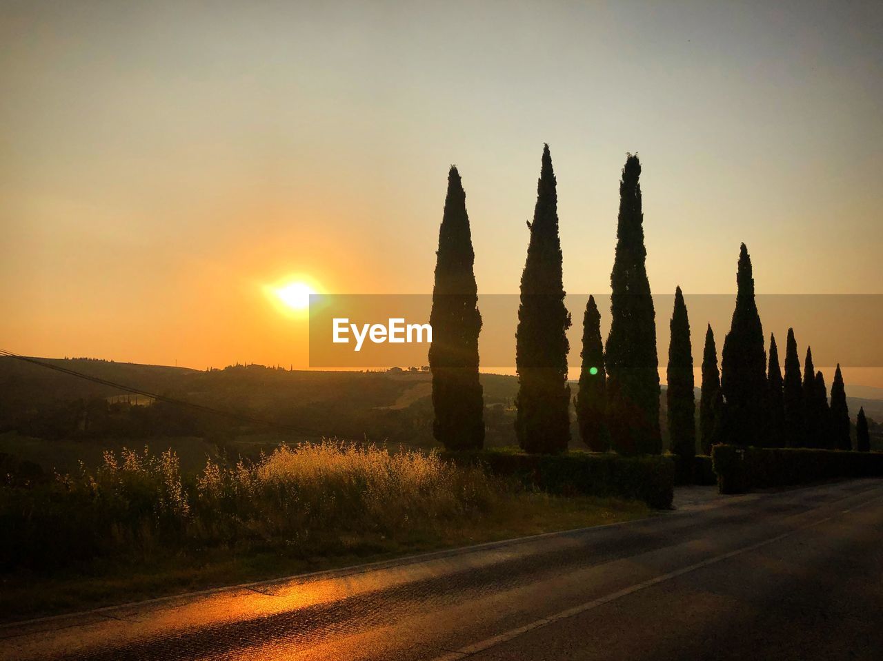 SILHOUETTE TREES BY ROAD AGAINST ORANGE SKY