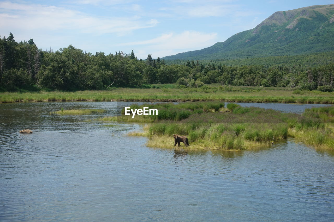 SCENIC VIEW OF LAKE AGAINST MOUNTAINS