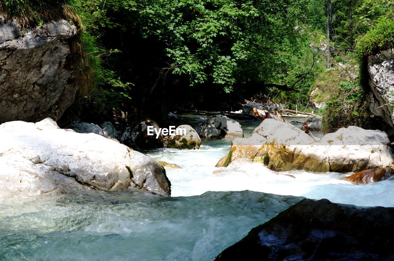 SCENIC VIEW OF WATERFALL