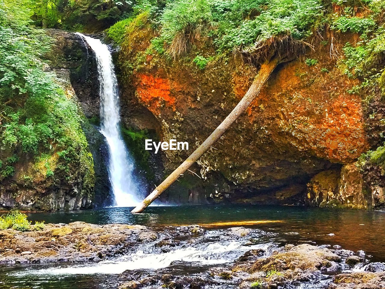 WATERFALL IN FOREST