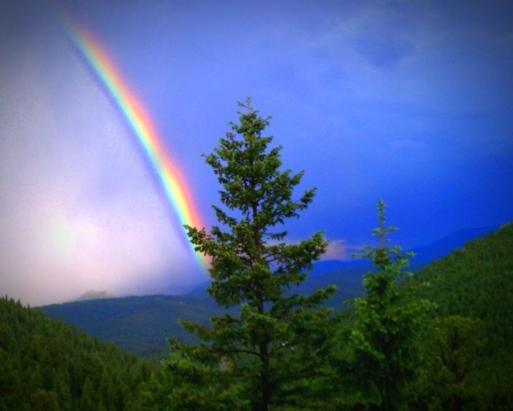 SCENIC VIEW OF RAINBOW OVER MOUNTAINS