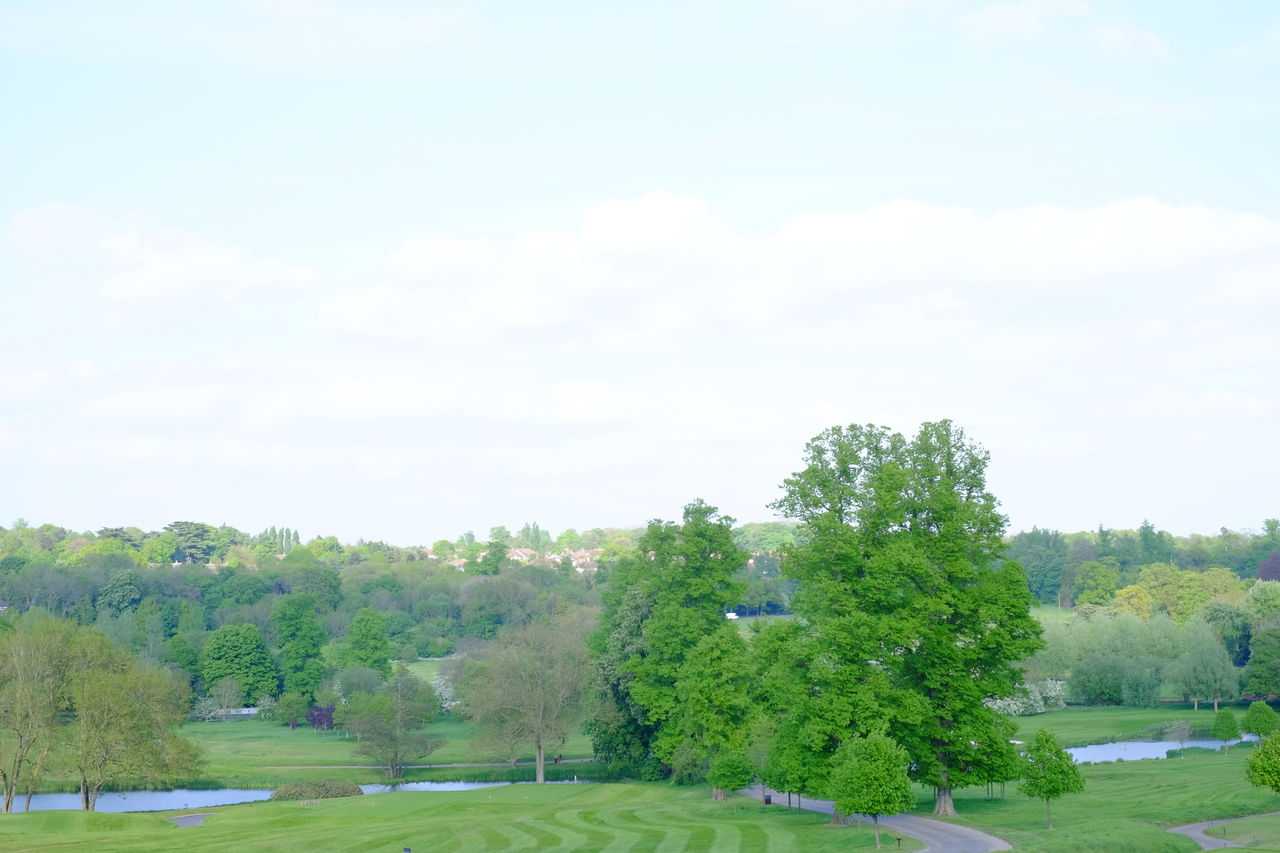 TREES AND GRASS IN PARK AGAINST SKY