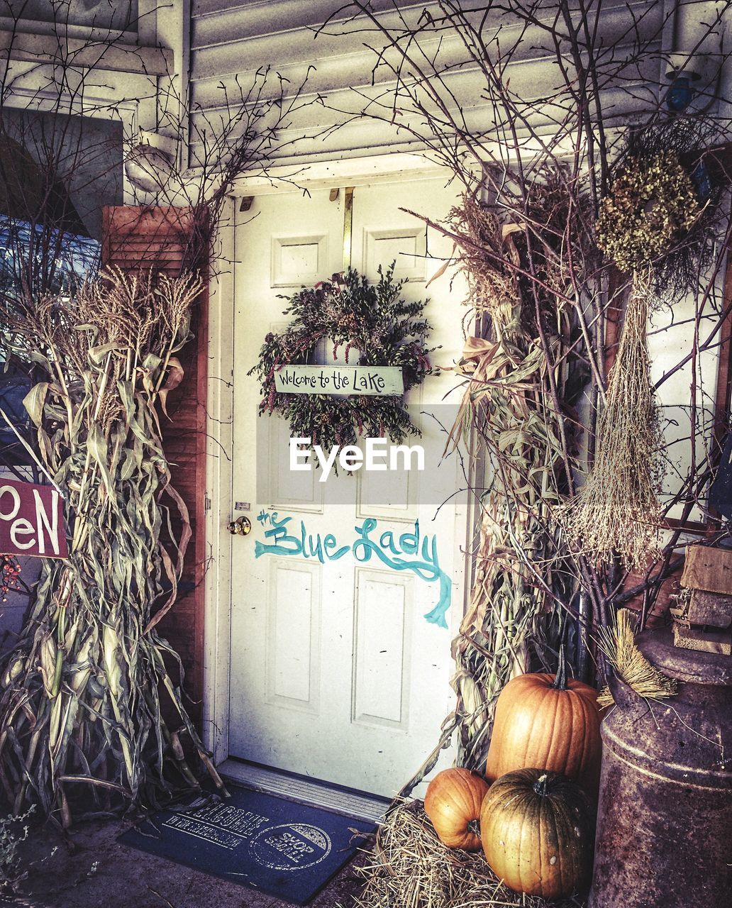 door, text, built structure, no people, building exterior, day, architecture, plant, pumpkin, halloween, indoors, tree, jack o lantern