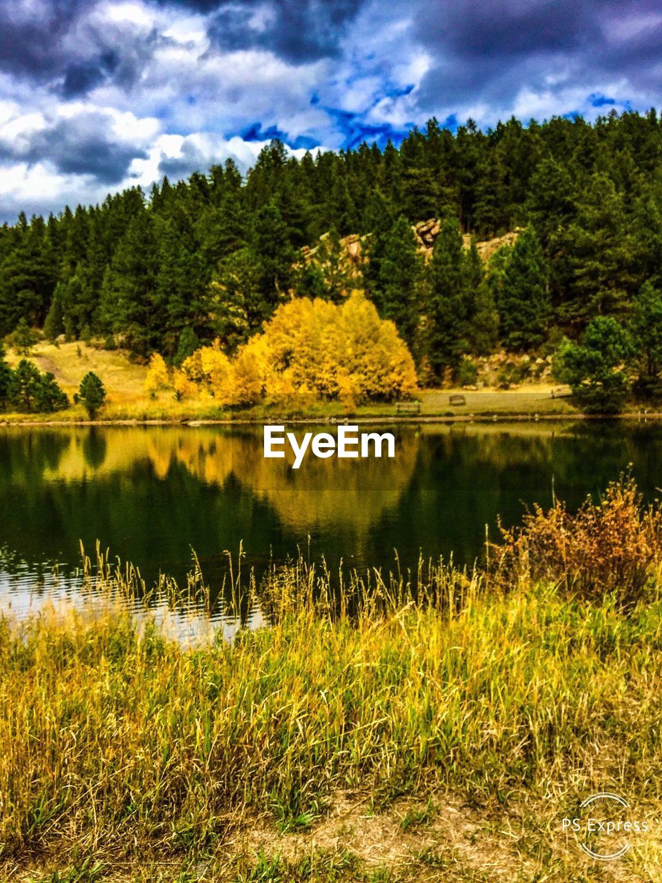 Scenic view of lake by trees against sky