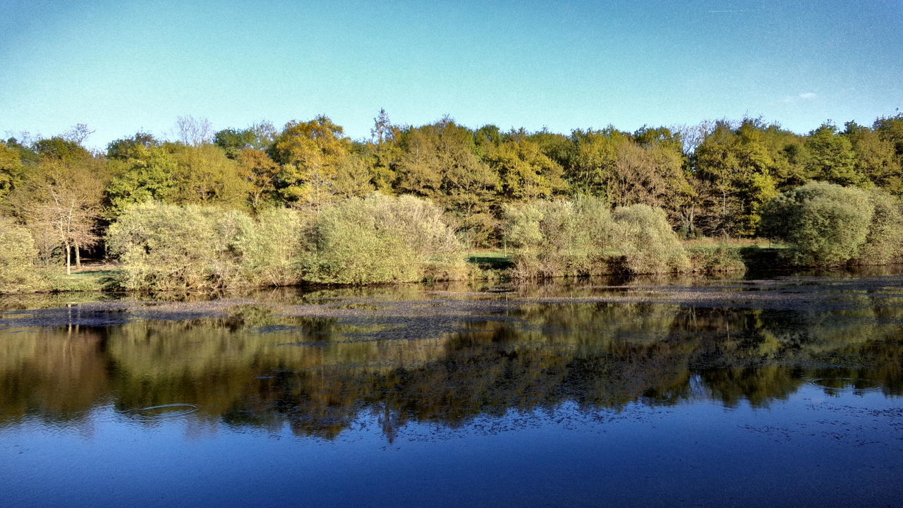 SCENIC VIEW OF LAKE AGAINST CLEAR SKY