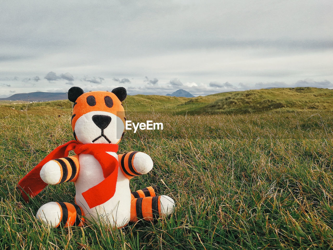 Stuffed animal on field against sky