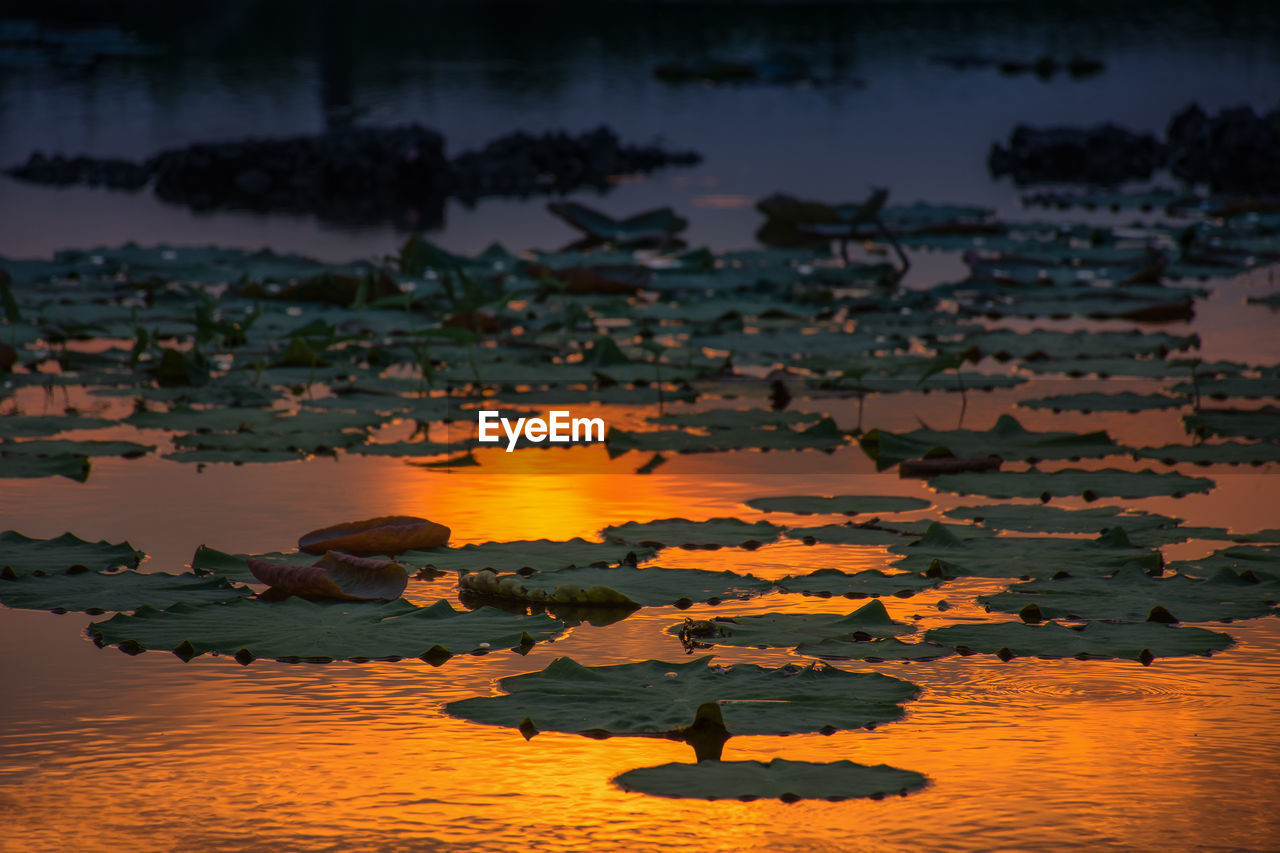 HIGH ANGLE VIEW OF LAKE AGAINST SKY AT SUNSET