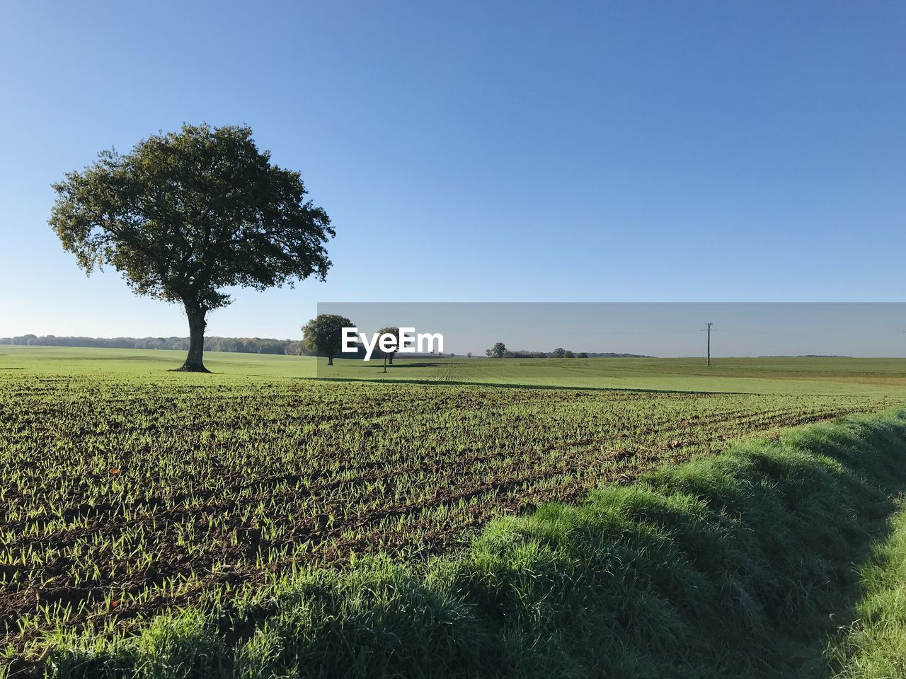 SCENIC VIEW OF FARM AGAINST SKY