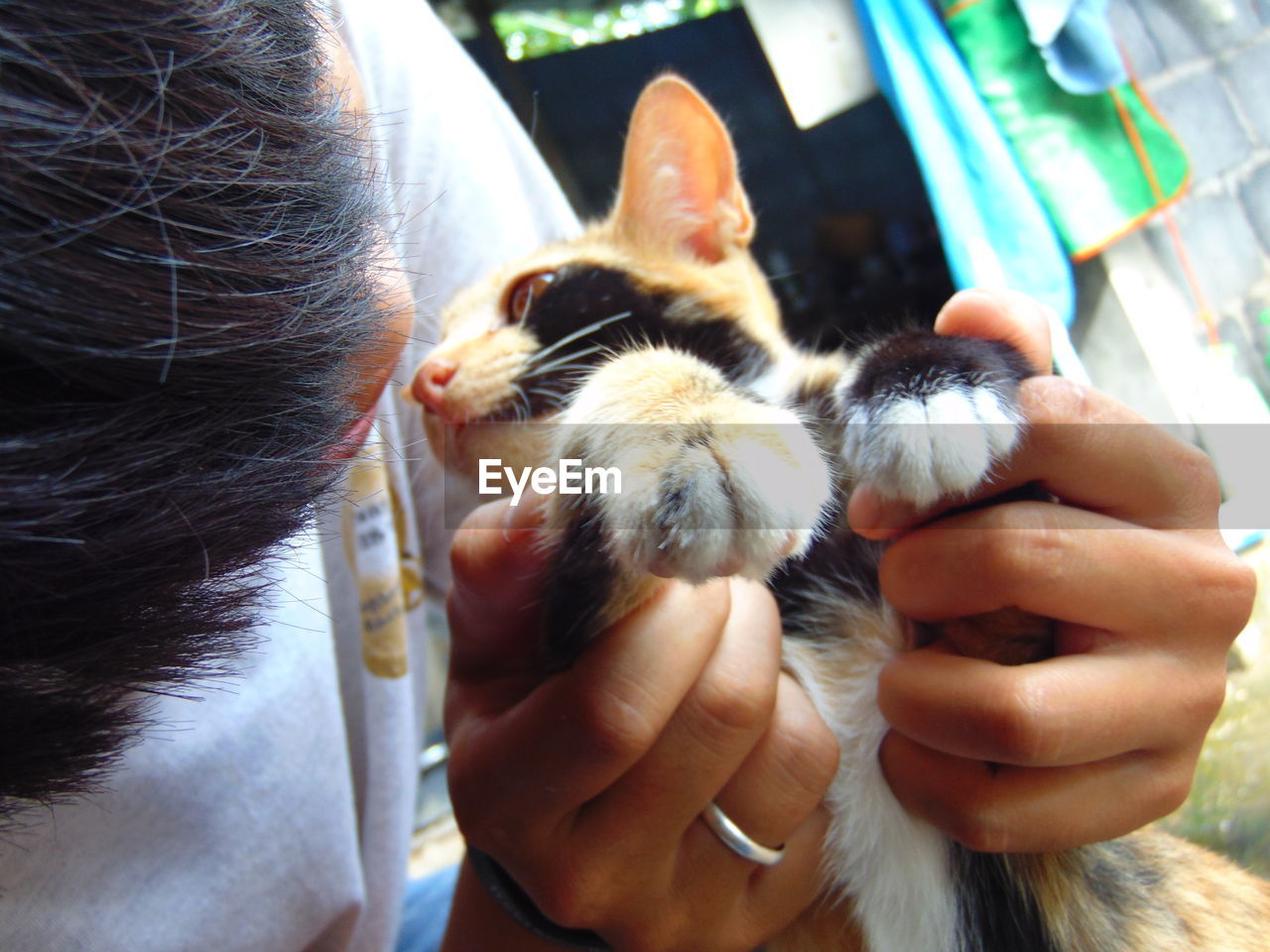 CLOSE-UP OF PERSON HOLDING CAT