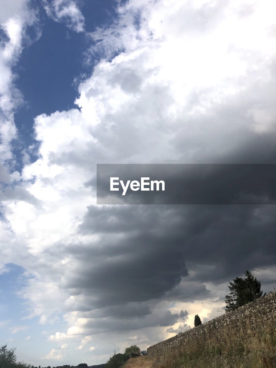 LOW ANGLE VIEW OF CLOUDY SKY OVER PLANTS