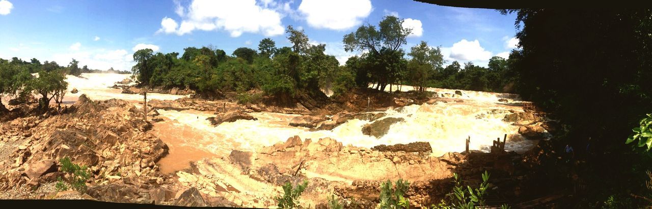 PANORAMIC VIEW OF TREES ON LANDSCAPE AGAINST SKY