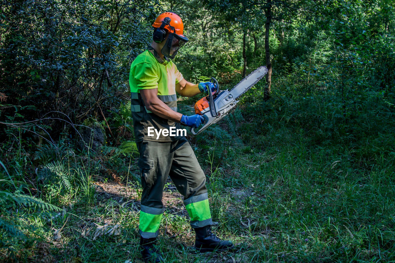 Forest worker working in the forest with chainsaw