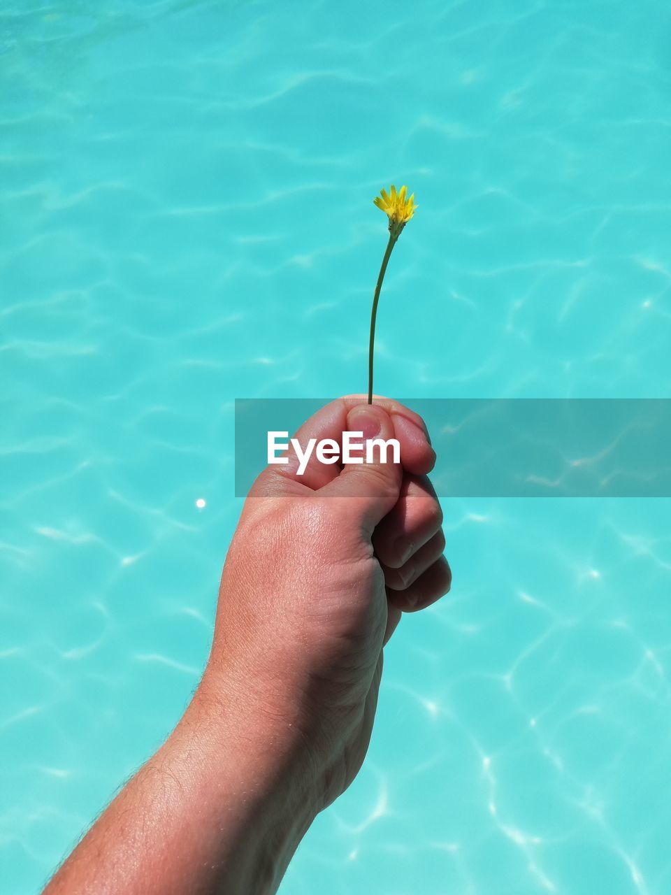 CROPPED IMAGE OF PERSON HOLDING HAND ON SWIMMING POOL